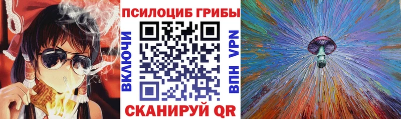 Галлюциногенные грибы мицелий Купить закладки Дивногорск