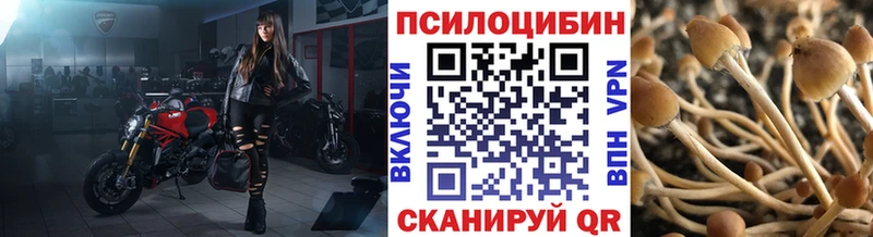 Галлюциногенные грибы мицелий Дивногорск